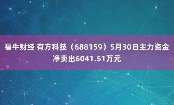 福牛财经 有方科技（688159）5月30日主力资金净卖出6041.51万元