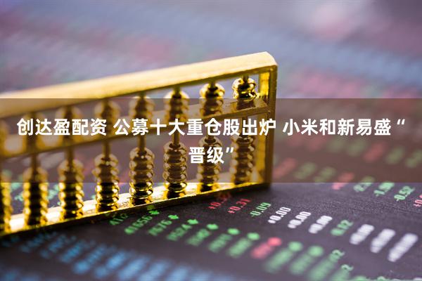 创达盈配资 公募十大重仓股出炉 小米和新易盛“晋级”