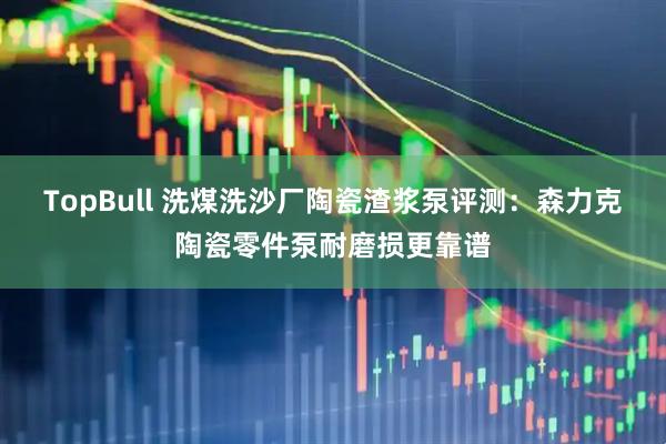 TopBull 洗煤洗沙厂陶瓷渣浆泵评测：森力克陶瓷零件泵耐磨损更靠谱