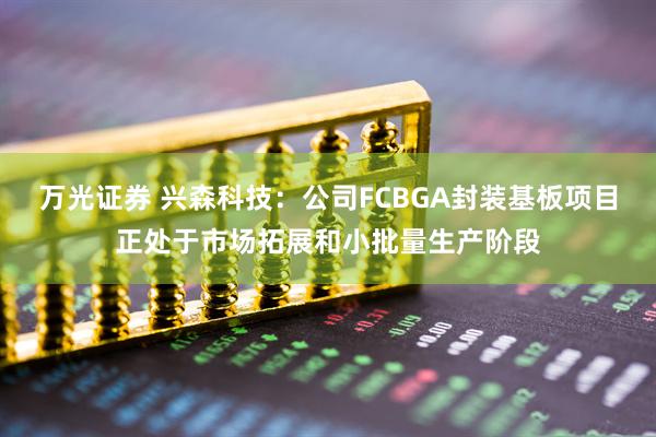 万光证券 兴森科技：公司FCBGA封装基板项目正处于市场拓展和小批量生产阶段