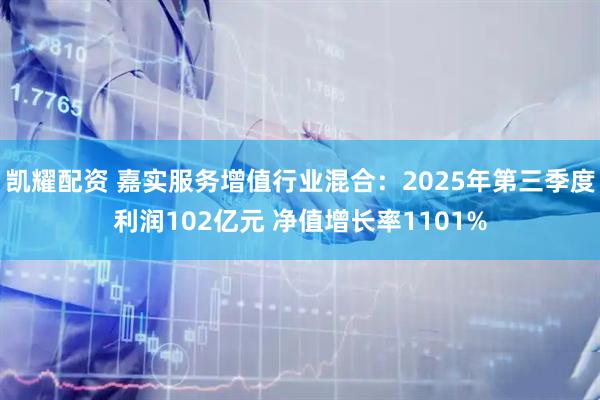 凯耀配资 嘉实服务增值行业混合：2025年第三季度利润102亿元 净值增长率1101%